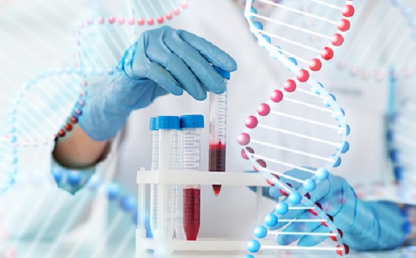 Một số điều cần biết về giám định ADN 
